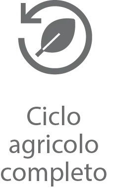 Ciclo agricolo completo